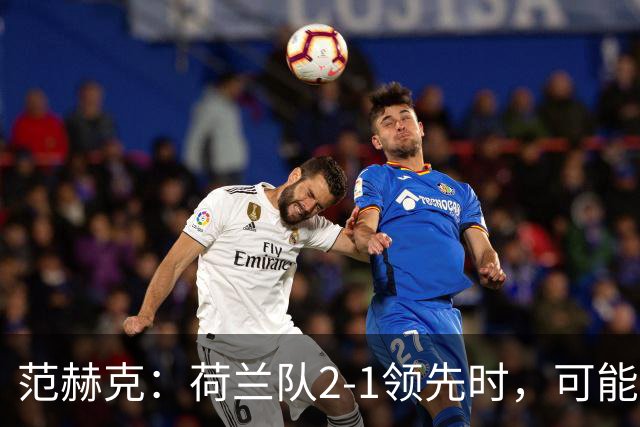 范赫克：荷兰队2-1领先时，可能退得太深了